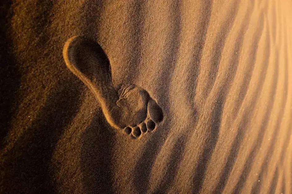 Máscara hidratante noturna para pés com rachaduras